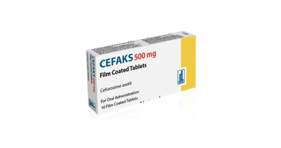 Cefaks 500 mg: Nedir, Ne İşe Yarar, Yan Etkileri